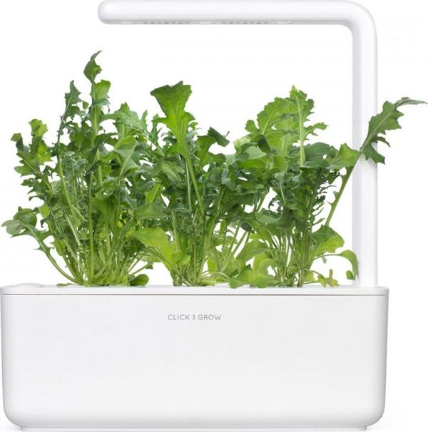 Click And Grow Ανταλλακτικό ρόκα 3-πακ