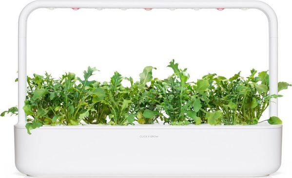 Click And Grow Ανταλλακτικό ρόκα 3-πακ