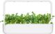 Click And Grow Ανταλλακτικό ρόκα 3-πακ