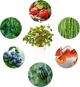 Click And Grow Click&Grow Κάψουλες με σπόρους Smart Soil Πειραματικό 3πακ