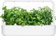 Click And Grow Click & Grow Plant Pod Calming Tea Mix 9pcs