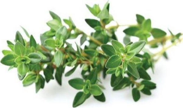 Click And Grow Click&Grow Κάψουλες με σπόρους Smart Soil Θυμάρι 3 πακέτο