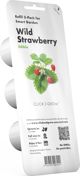 Click And Grow Κάψουλες με σπόρους Smart Soil Φράουλα 3πακ
