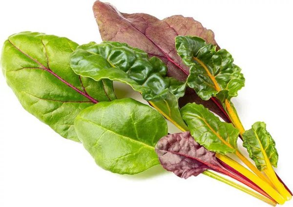 Click And Grow Click & Grow Smart Refill Rainbow Chard 3pcs