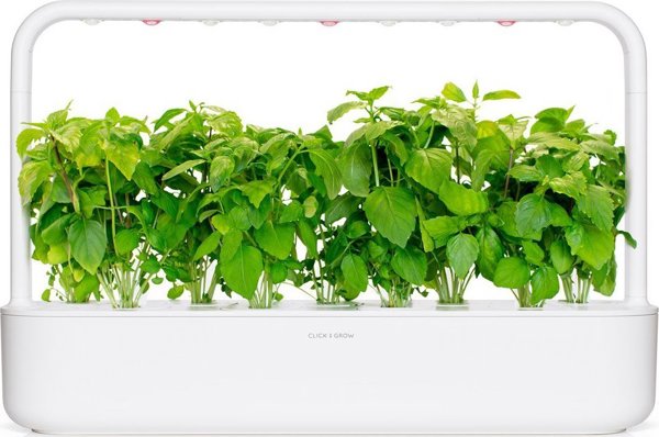 Click And Grow Click & Grow Smart Garden ανταλλακτικό Κανέλα Βασιλικός 3 τεμάχια