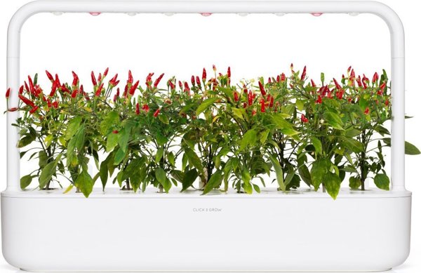 Click And Grow Click & Grow Smart Garden refill Piri Piri Chili Pepper 3pcs