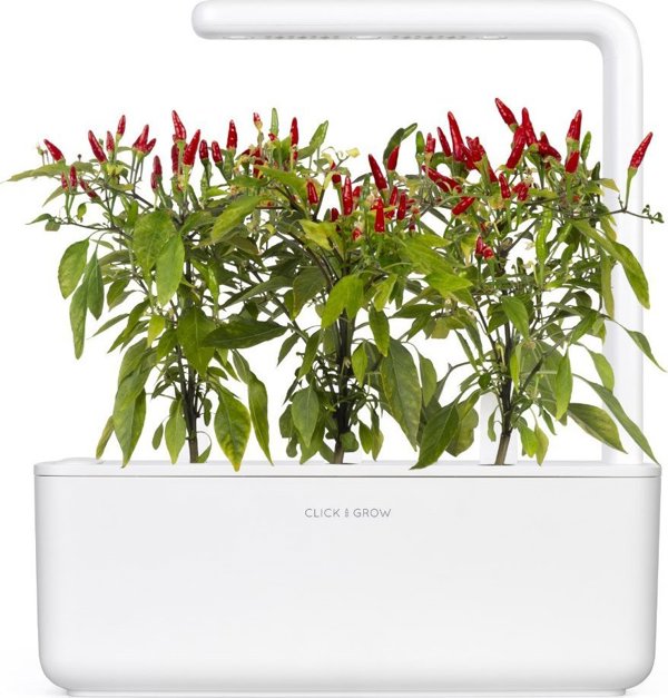 Click And Grow Click & Grow Smart Garden refill Piri Piri Chili Pepper 3pcs