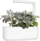 Click And Grow Click & Grow Smart Refill Dusty Miller 3pcs