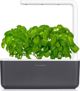 Click And Grow Click and Grow έξυπνος κήπος 3 σκούρο γκρι