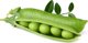Click And Grow Click and Grow ανταλλακτικό πράσινο μπιζέλι 3-πακ
