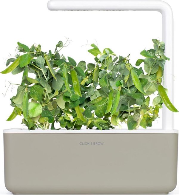 Click And Grow Click and Grow ανταλλακτικό πράσινο μπιζέλι 3-πακ