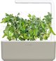 Click And Grow Click and Grow ανταλλακτικό πράσινο μπιζέλι 3-πακ