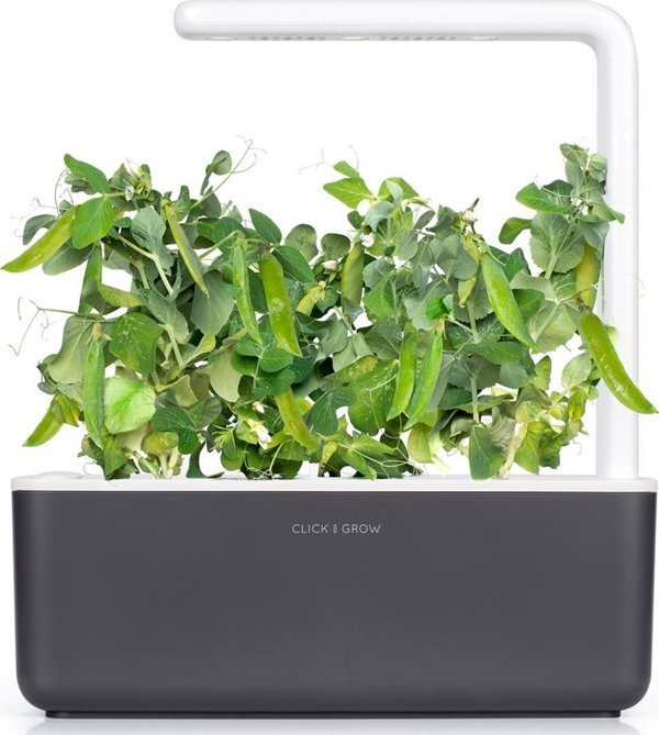 Click And Grow Click and Grow ανταλλακτικό πράσινο μπιζέλι 3-πακ