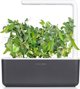 Click And Grow Click and Grow ανταλλακτικό πράσινο μπιζέλι 3-πακ