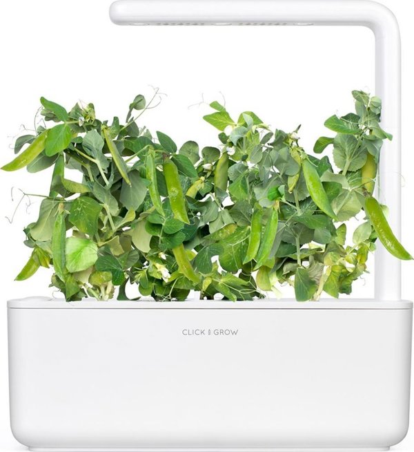 Click And Grow Click and Grow ανταλλακτικό πράσινο μπιζέλι 3-πακ