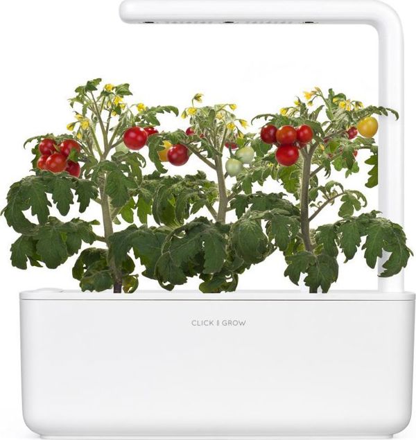 Click And Grow Click&Grow Κάψουλες με σπόρους Smart Soil Ντοματίνια 3 πακέτα