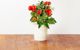 Click And Grow Click&Grow Κάψουλες με σπόρους Smart Soil Ντοματίνια 3 πακέτα