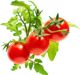 Click And Grow Click&Grow Κάψουλες με σπόρους Smart Soil Ντοματίνια 3 πακέτα
