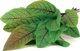 Click And Grow Click &amp| Grow Smart Garden refill Bloody Sorrel 3pcs 4742793007496