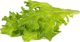 Click And Grow Επαναγέμισμα Smart Oakleaf Μαρούλι 3τμχ