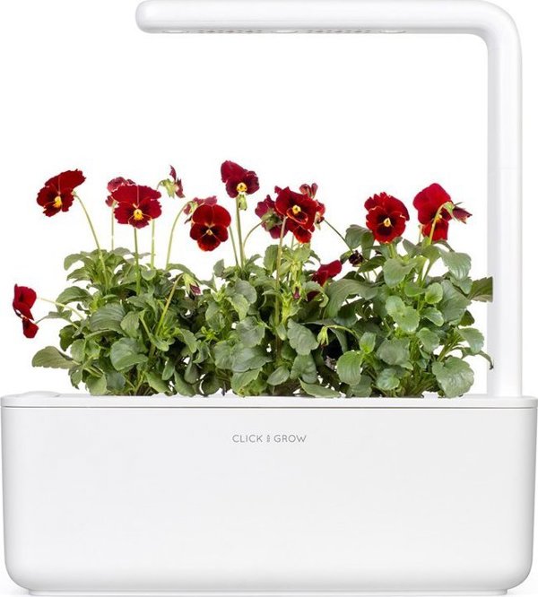 Click And Grow Click & Grow Smart Garden Refill Red Pansy 3pcs