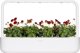 Click And Grow Click & Grow Smart Garden Refill Red Pansy 3pcs