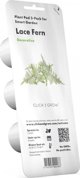 Click And Grow Click & Grow Smart Refill Feather spar 3pcs