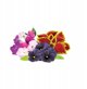 Click and Grow Smart Garden Refill 9-pack Vibrant Flower Mix