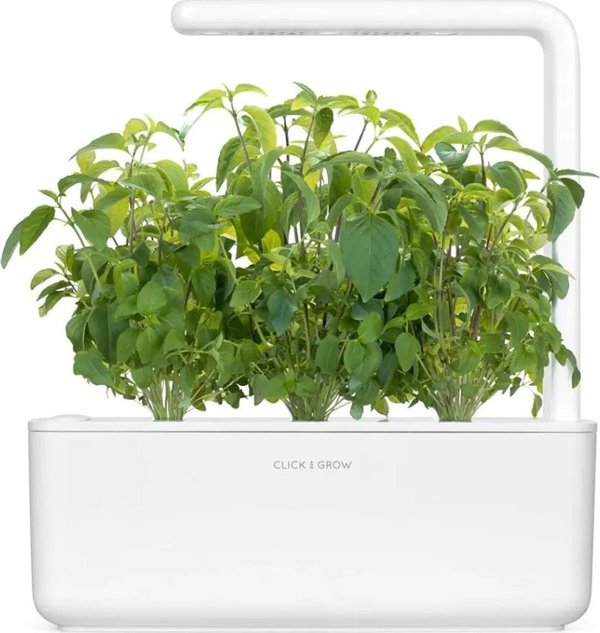 Click And Grow Click & Grow Smart Garden ανταλλακτικό Thai Basil 3 τεμ.