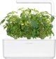 Click And Grow Click & Grow Smart Garden ανταλλακτικό Thai Basil 3 τεμ.