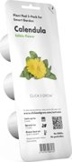 Click And Grow Click & Grow Έξυπνη Αναπλήρωση Καλέντουλα 3 τεμάχια