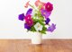 Click And Grow Click & Grow Smart Garden refill Petunia 3pcs