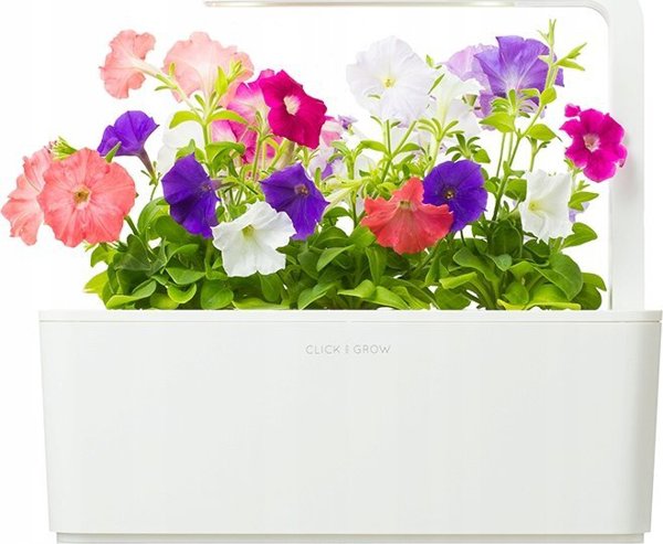 Click And Grow Click & Grow Smart Garden refill Petunia 3pcs