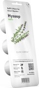 Click And Grow Click & Grow Smart Garden ανταλλακτικό Ύσσωπος 3 τεμ