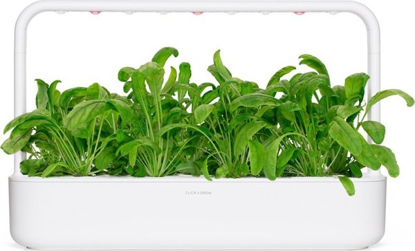 Click And Grow Click & Grow Smart Garden αναπλήρωση Mibuna 3 τεμ