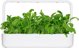 Click And Grow Click & Grow Smart Garden αναπλήρωση Mibuna 3 τεμ