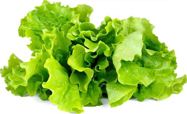 Click And Grow Ανταλλακτικό μαρούλι 3-πακ