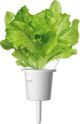 Click And Grow Ανταλλακτικό μαρούλι 3-πακ