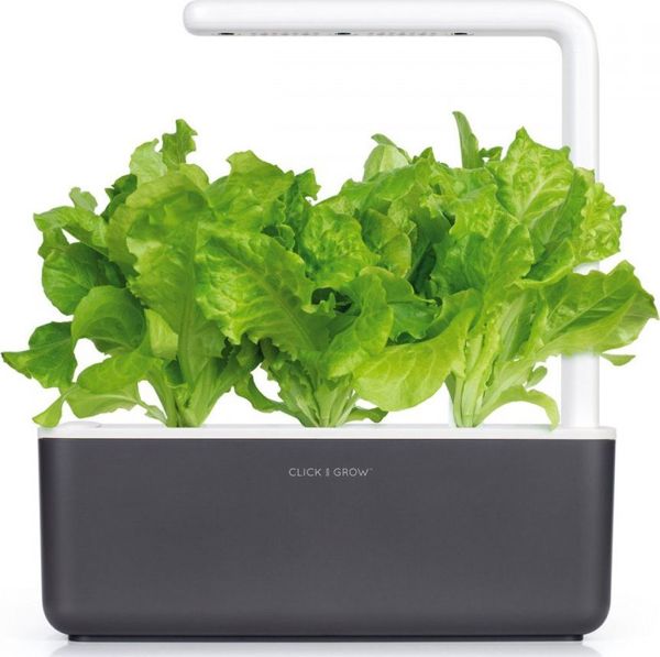 Click And Grow Ανταλλακτικό μαρούλι 3-πακ