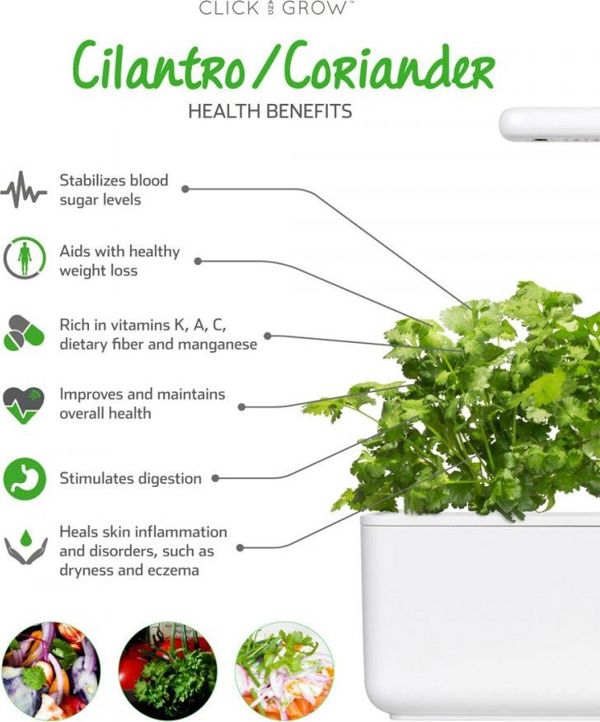 Click And Grow Ανταλλακτικό κόλιανδρος 3-πακ