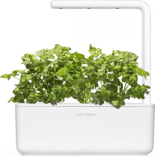 Click And Grow Ανταλλακτικό κόλιανδρος 3-πακ