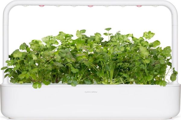 Click And Grow Ανταλλακτικό κόλιανδρος 3-πακ