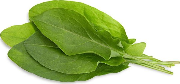 Click And Grow Click & Grow Smart Garden refill Green Sorrel 3pcs