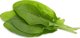 Click And Grow Click & Grow Smart Garden refill Green Sorrel 3pcs