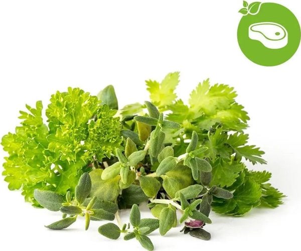 Click And Grow Click & Grow Plant Pod Steak Mix 9pcs