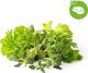 Click And Grow Click & Grow Plant Pod Steak Mix 9pcs