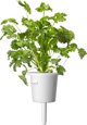 Click And Grow Click & Grow Plant Pod Steak Mix 9pcs