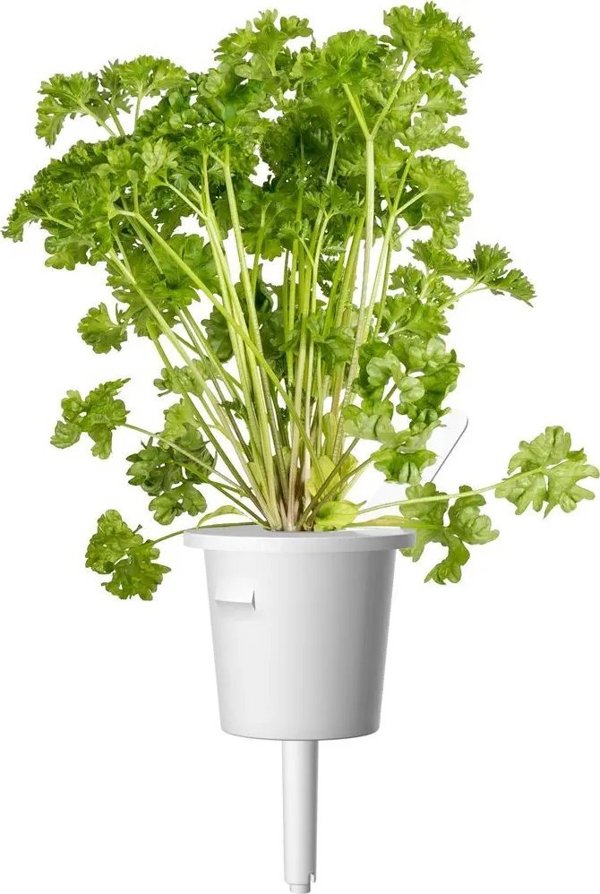 Click And Grow Click & Grow Plant Pod Steak Mix 9pcs