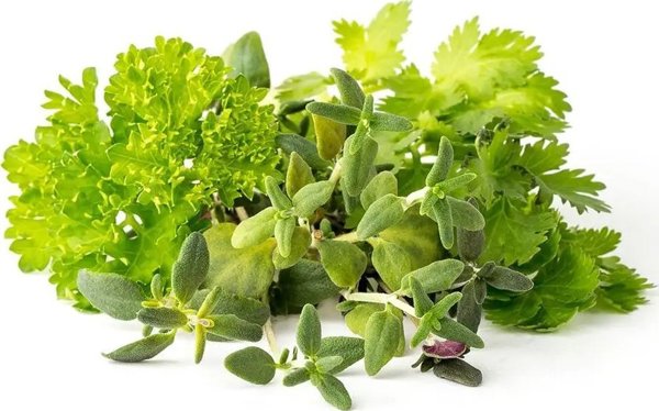Click And Grow Click & Grow Plant Pod Steak Mix 9pcs