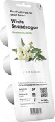 Click And Grow Click & Grow Έξυπνη Αναπλήρωση Λευκό Snapdragon 3 τεμάχια